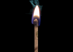 wildfire logo